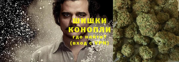 хмурый Каменка