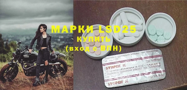 хмурый Каменка