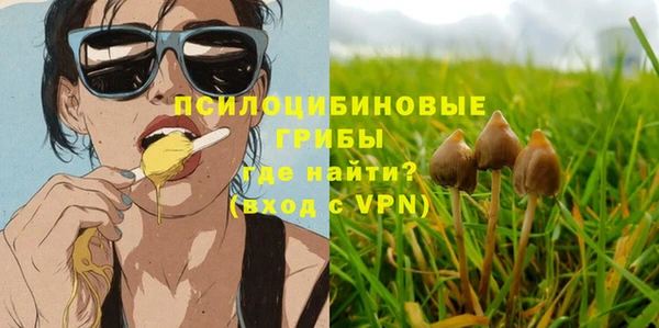 PSILOCYBIN Карпинск