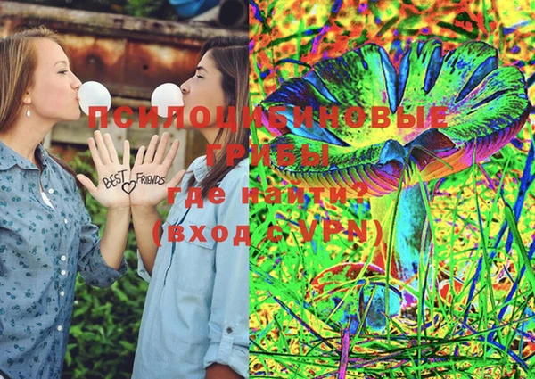 PSILOCYBIN Карпинск