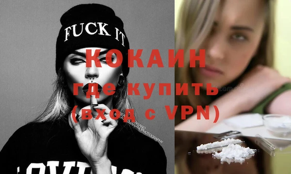 хмурый Каменка