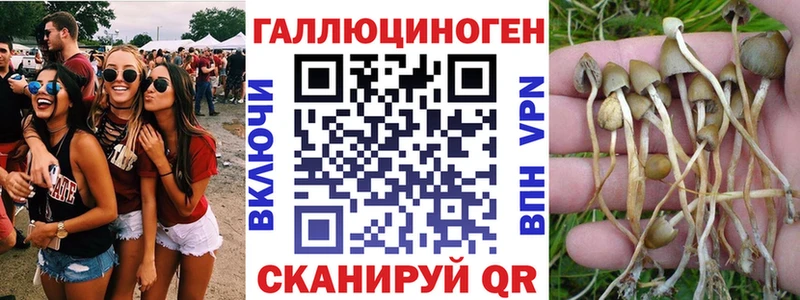Галлюциногенные грибы Psilocybine cubensis  Купить  Воткинск 